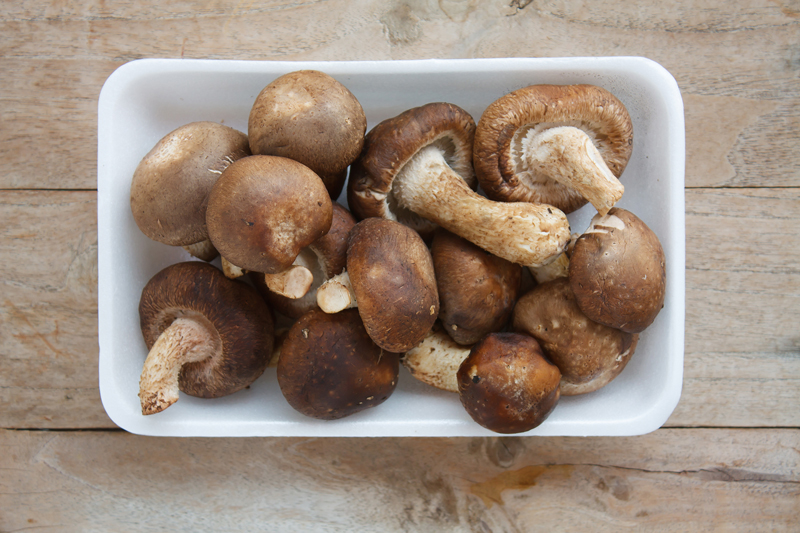 Everything You Don’t Know about Shiitake Mushrooms & Your Health